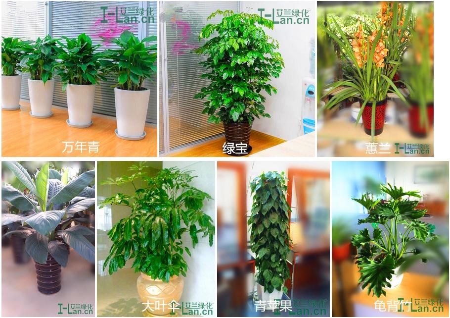 J9国际站备用【唯一】官方网站