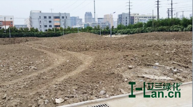 绿地造型平坦
